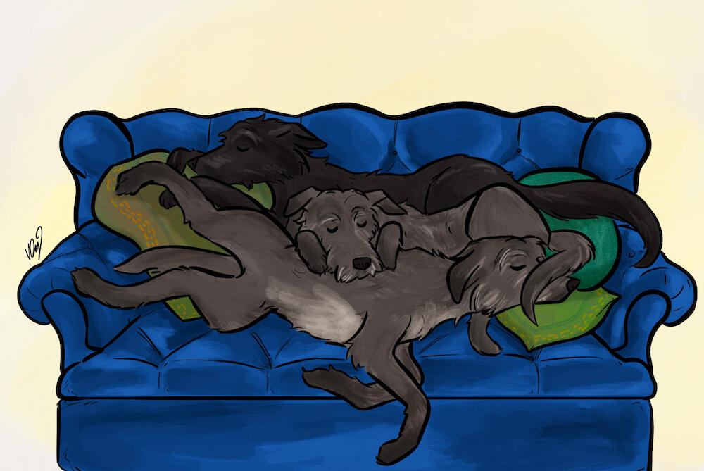 cuddle pile (aridhel, fia, and nessie de riva) by @asparklethatisblue (tumblr)