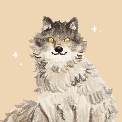 A cute doodle style illustration of a fluffy grey wolf sitting against a neutral background.